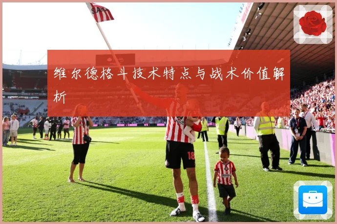 维尔德格斗技术特点与战术价值解析