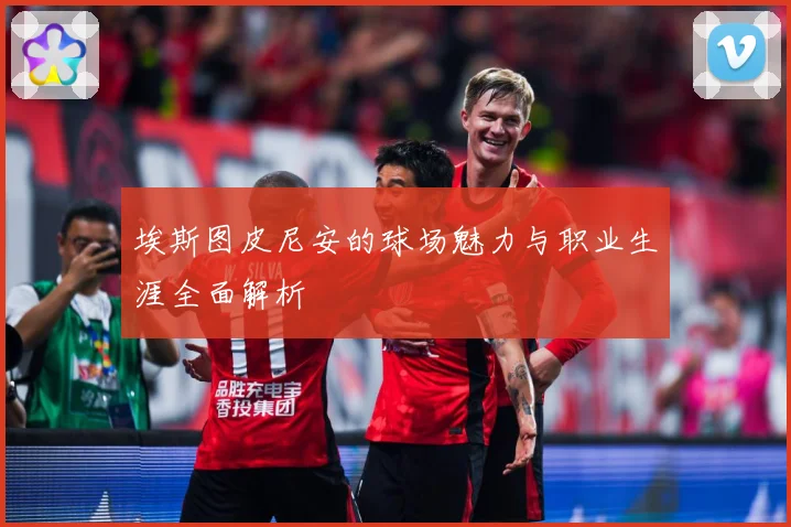 埃斯图皮尼安的球场魅力与职业生涯全面解析